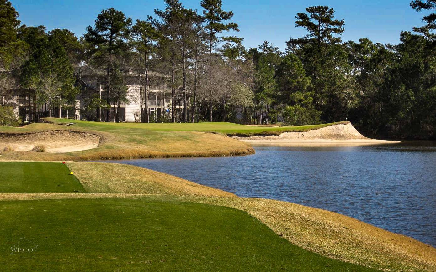 True Blue (header image)