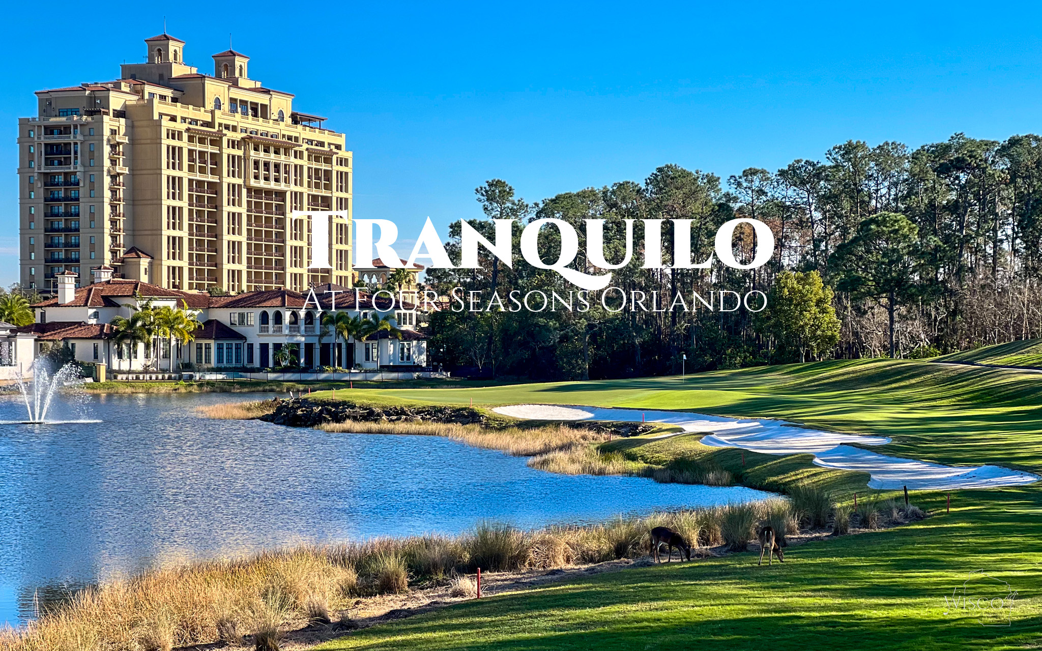 Tranquilo at Four Seasons Orlando (header image)